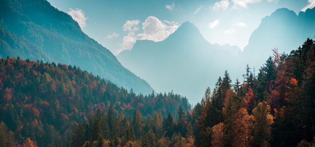 Beautiful mountain landscape with autumn forest